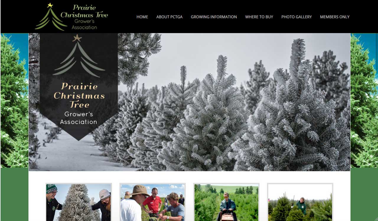 PCTGA website by fireflywebs.ca